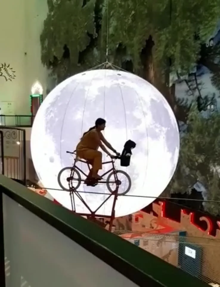 67377036 10157822166219245 7019755919370092544 n